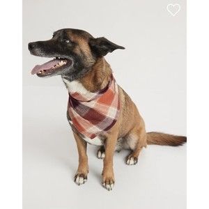 Old Navy  print bandanna for pets Size S-M